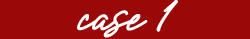 case1