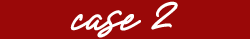 case2
